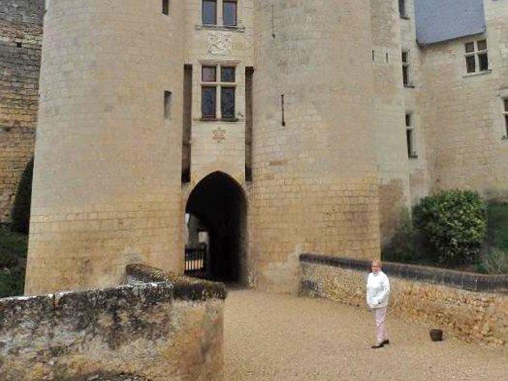 149 CHATEAU DE MONTREUIL BELLAY MAINE ET LOIRE 2016_000008.jpg